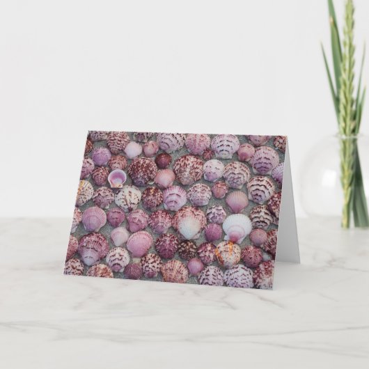 Roze Zee Schelp Vouw Dankkaart Bedankkaart (Voorkant)