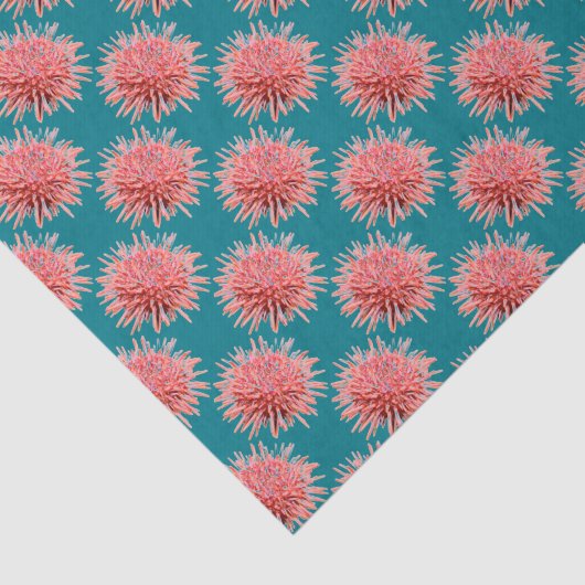 Roze Zee Urchins op Blauwgroen Tissuepapier (Detail)