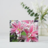 Roze zeemietsjes briefkaart (Staand voorkant)