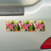 roze zetmeellib bumper sticker (Op auto)