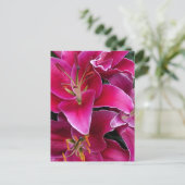 Roze zetmeellierbloemen briefkaart (Staand voorkant)