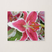 Roze zetmeellierbloemen legpuzzel (Horizontaal)