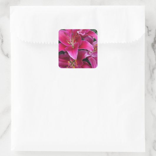 Roze zetmeellierbloemen vierkante sticker (Tas)