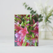 Roze zetmeellieren briefkaart (Staand voorkant)