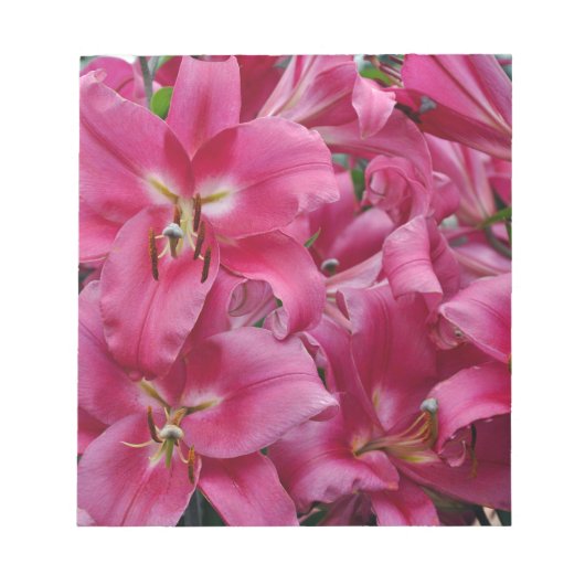 Roze zetmeellieren notitieblok (Voorkant)