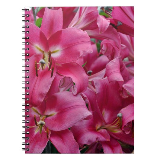 Roze zetmeellieren notitieboek (Voorkant)