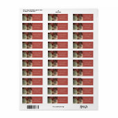 Roze zilveren kerstbal adreslabel etiket (Full Sheet)