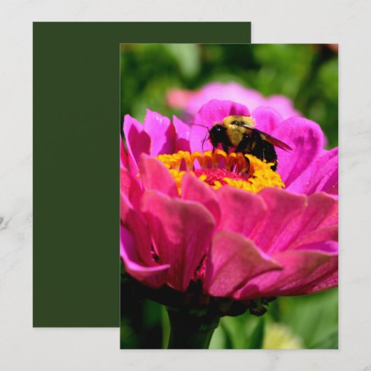 Roze zink met hommel, roze bloemen, schattige bije kaart (Voorkant / Achterkant)