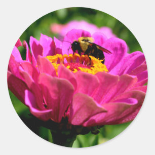 Roze zink met hommel, roze bloemen, schattige bije ronde sticker