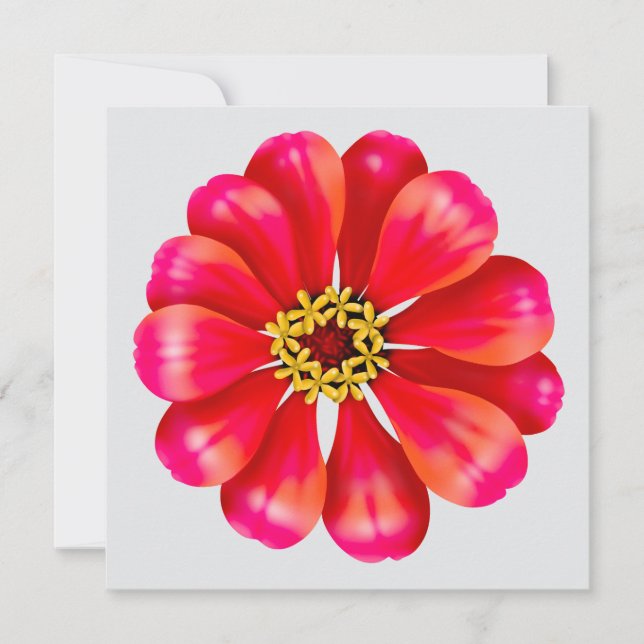 Roze Zinnia (Voorkant)