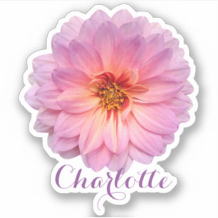 Roze Zinnia Aangepaste Naam Sticker