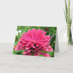 Roze Zinnia - Birthday Kaart