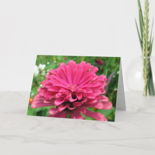 Roze Zinnia - Birthday Kaart (Voorkant)