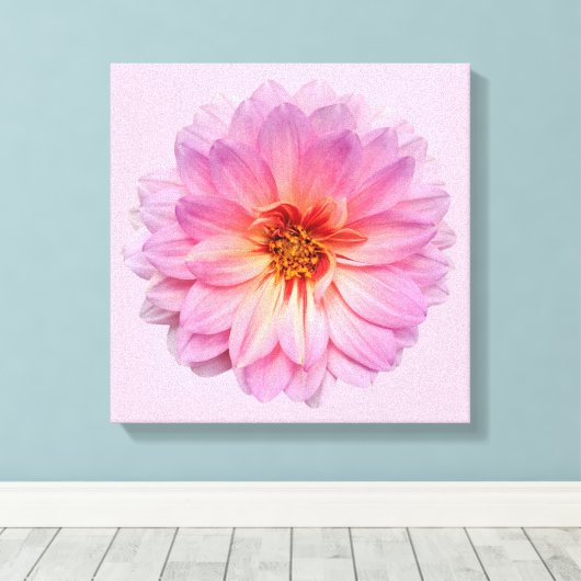 Roze Zinnia Bloei Bloem Canvas Afdruk (Insitu (Houten vloer))