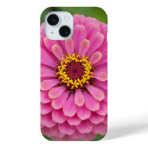 Roze zinnia - bloem