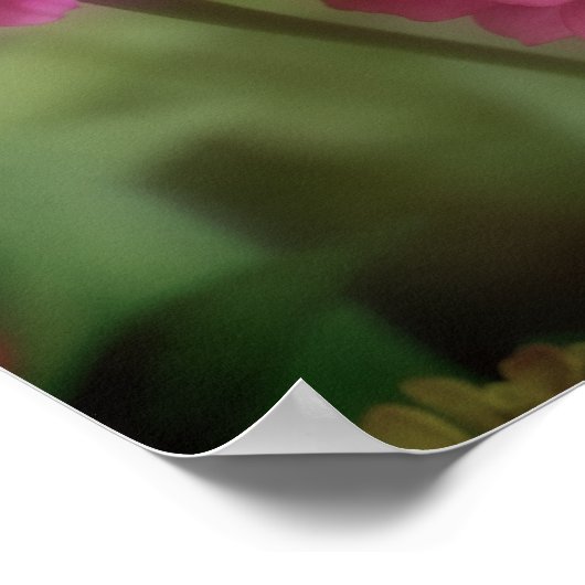 Roze zinnia-bloem poster (Hoek)