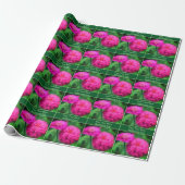 Roze Zinnia Bloemen gepersonaliseerd Cadeaupapier (Uitgerold)