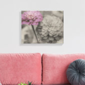 Roze Zinnia-bloemen in zwart-wit Canvas Afdruk (Insitu (Woonkamer))