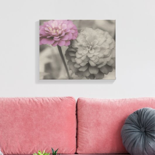 Roze Zinnia-bloemen in zwart-wit Canvas Afdruk (Insitu (Woonkamer))