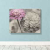 Roze Zinnia-bloemen in zwart-wit Canvas Afdruk (Insitu (Houten vloer))