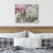 Roze Zinnia-bloemen in zwart-wit Canvas Afdruk (Insitu (Slaapkamer))