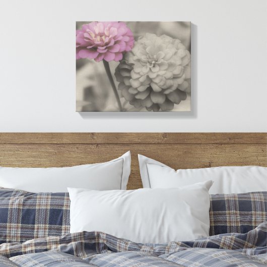 Roze Zinnia-bloemen in zwart-wit Canvas Afdruk (Insitu (Slaapkamer))