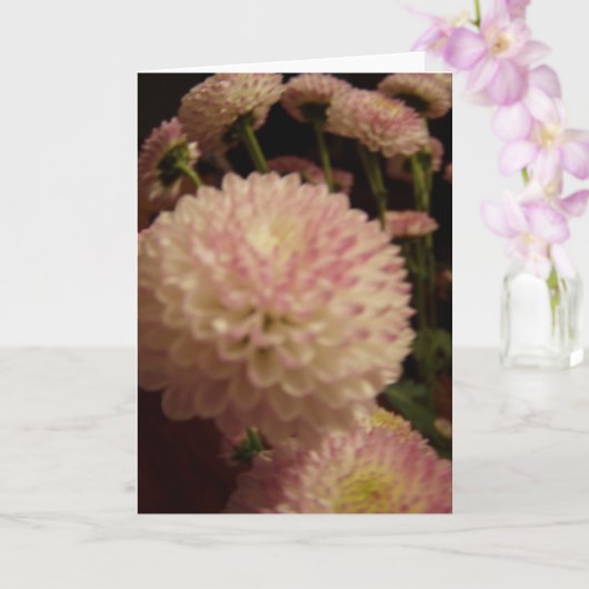 Roze Zinnia Bloemen Kaart (Orchidee)