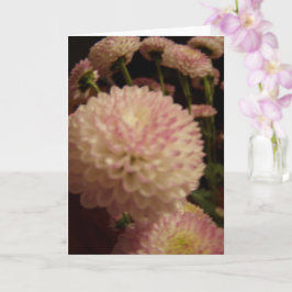 Roze Zinnia Bloemen Kaart