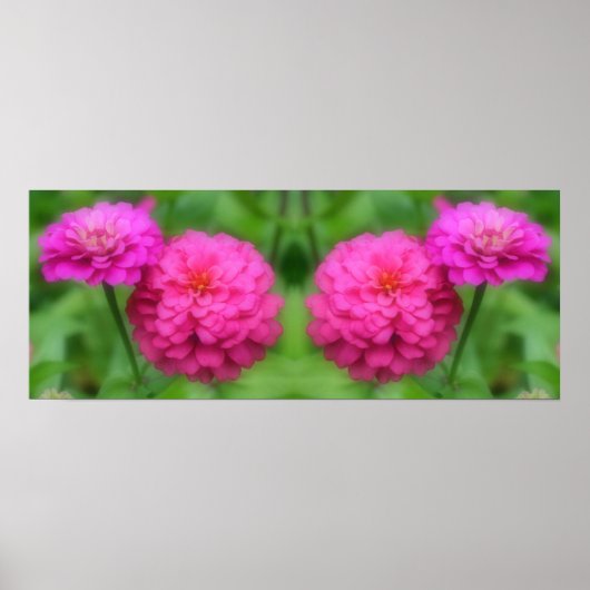 Roze Zinnia Bloemen Spiegel Abstract Poster (Voorkant)