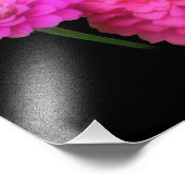 Roze Zinnia Bloemenpaar Close-up 8x10 Foto Afdruk (Hoek)