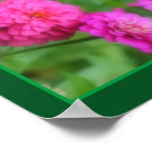 Roze Zinnia bloemenpaar Close-up Abstract Poster (Hoek)