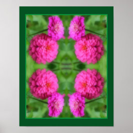 Roze Zinnia bloemenpaar Close-up Abstract Poster
