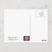 Roze Zinnia Briefkaart (Achterkant)
