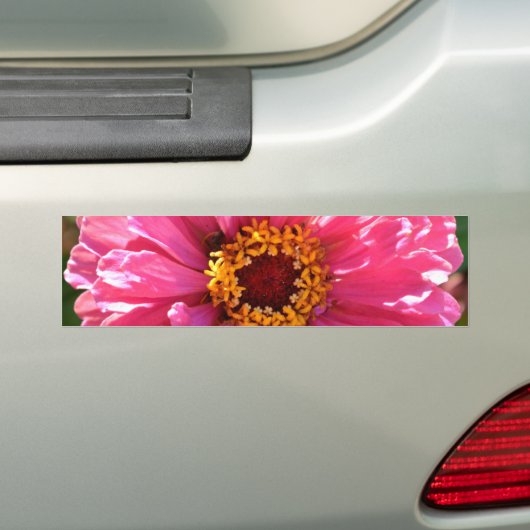 Roze Zinnia Bumpersticker (Op auto)