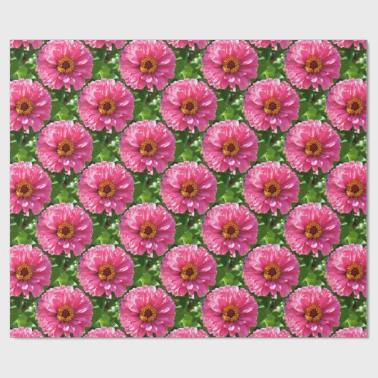 Roze Zinnia Cadeaupapier (Vlak)