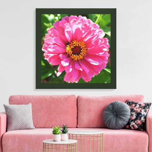 Roze Zinnia Canvas Afdruk (Insitu (Woonkamer))
