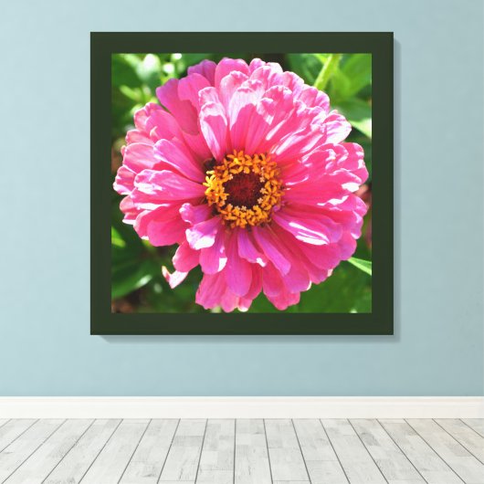 Roze Zinnia Canvas Afdruk (Insitu (Houten vloer))