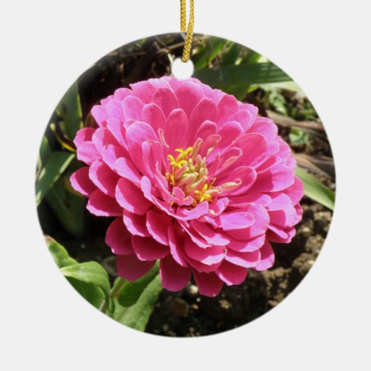 Roze Zinnia Custom Birthday Keramisch Ornament (Voorkant)