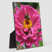 Roze Zinnia en Bumble bee Fotoplaat (Zijkant)