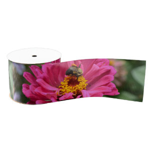 Roze Zinnia en Bumble bee Grosgrain Lint