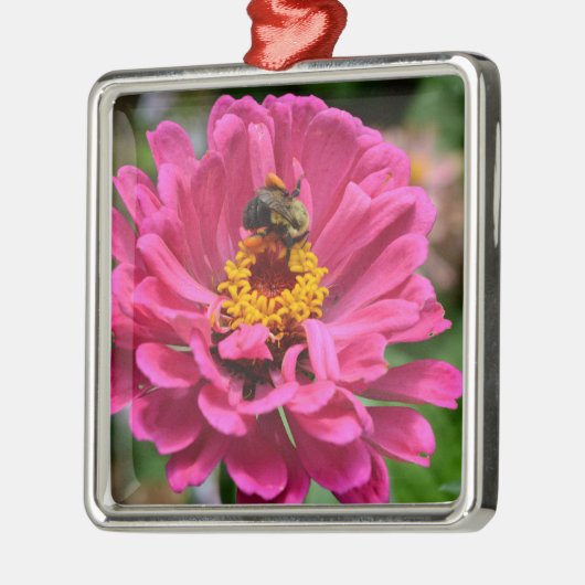 Roze Zinnia en Bumble bee Metalen Ornament (Links)