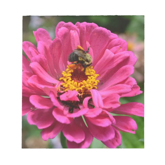Roze Zinnia en Bumble bee Notitieblok (Voorkant)