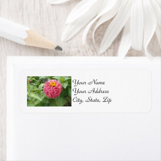 Roze Zinnia Etiket (Insitu)