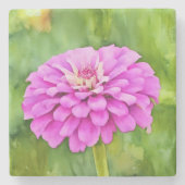 Roze Zinnia Flower Art Marble Stenen Onderzetter (Voorkant)