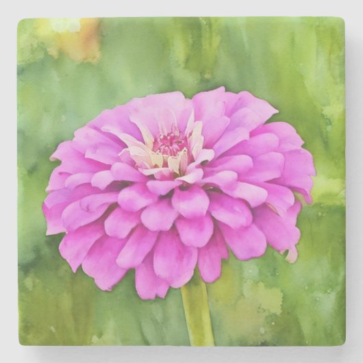 Roze Zinnia Flower Art Marble Stenen Onderzetter (Voorkant)