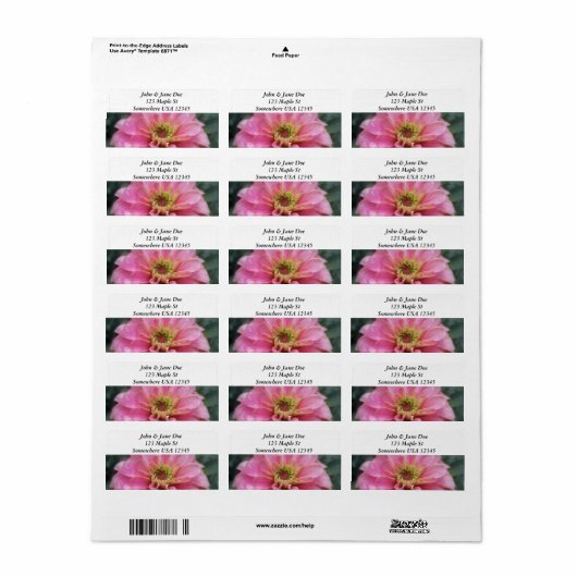 Roze Zinnia Flower Etiket (Full Sheet)