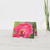 Roze Zinnia Flower Kaart (Achterkant)