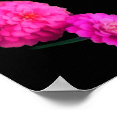 Roze Zinnia Flower Pair Abstracte Kunst Poster (Hoek)