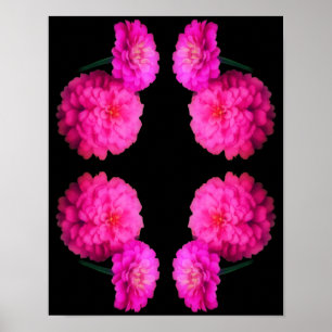 Roze Zinnia Flower Pair Abstracte Kunst Poster