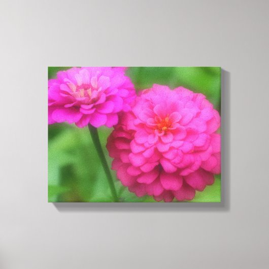 Roze Zinnia Flower Pair Canvas Afdruk (Voorkant)